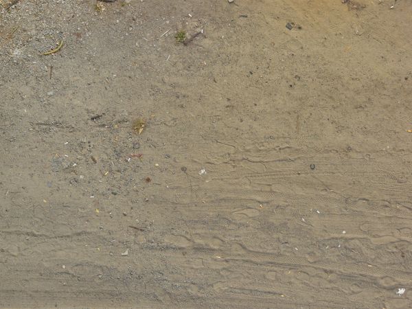 Dirt area in grey and brown tones with footprints and tire marks on surface.